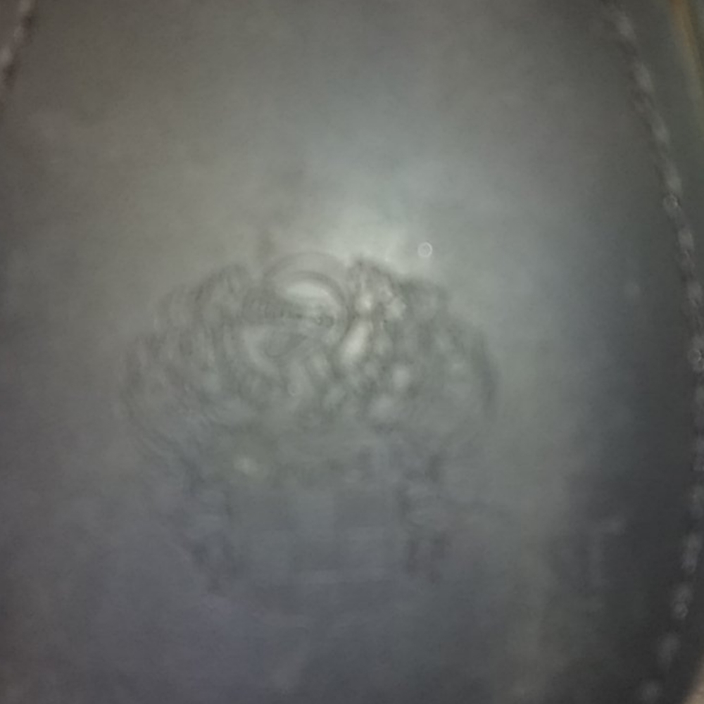 Vince Camuto thigh high boots. - Picture 13 of 16